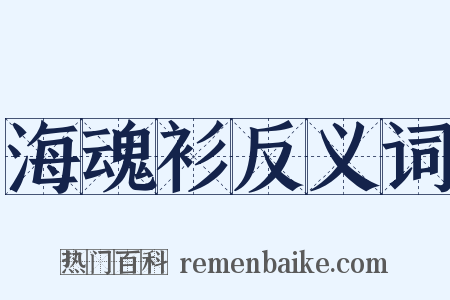 海魂衫反义词是什么意思的图片